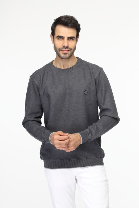 Regular Fit Sweat Shirt Gray