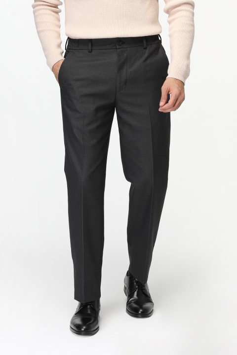 Regular Fit Classic Pants Gray