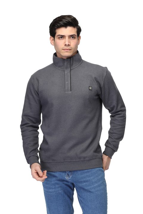 Regular Fit Sweat Shirt Gray